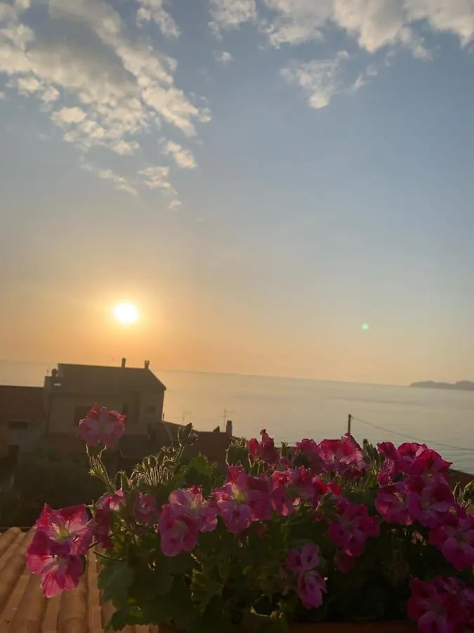 Sardegna Casa Vacanze La Bouganville Tresnuraghes